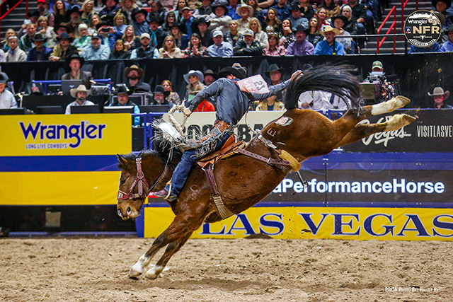 Tanner Butner on Calgary Stampede's Exotic Warrior